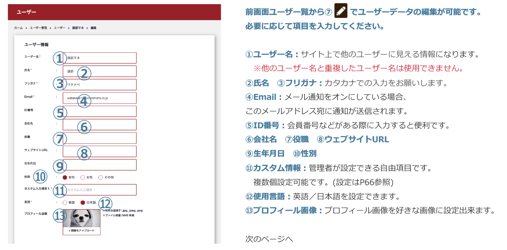 ユーザーデータ編集