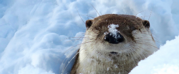 盛岡市動物公園ZOOMO／株式会社もりおかパークマネージメント